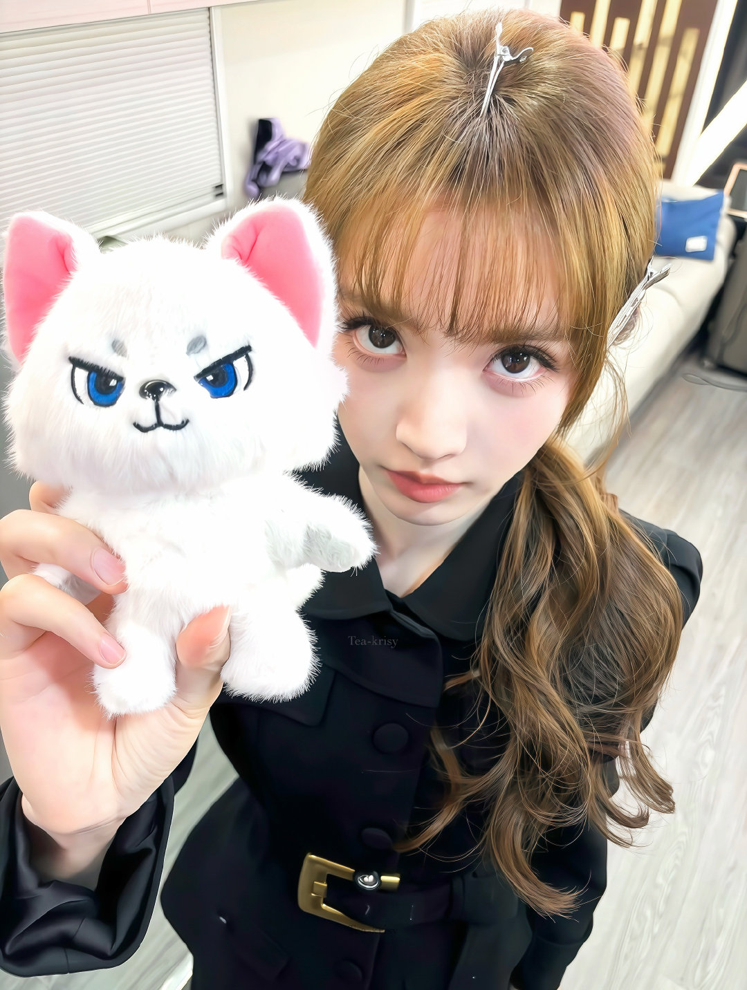 田曦薇 小猫日常🐈🪽 ​