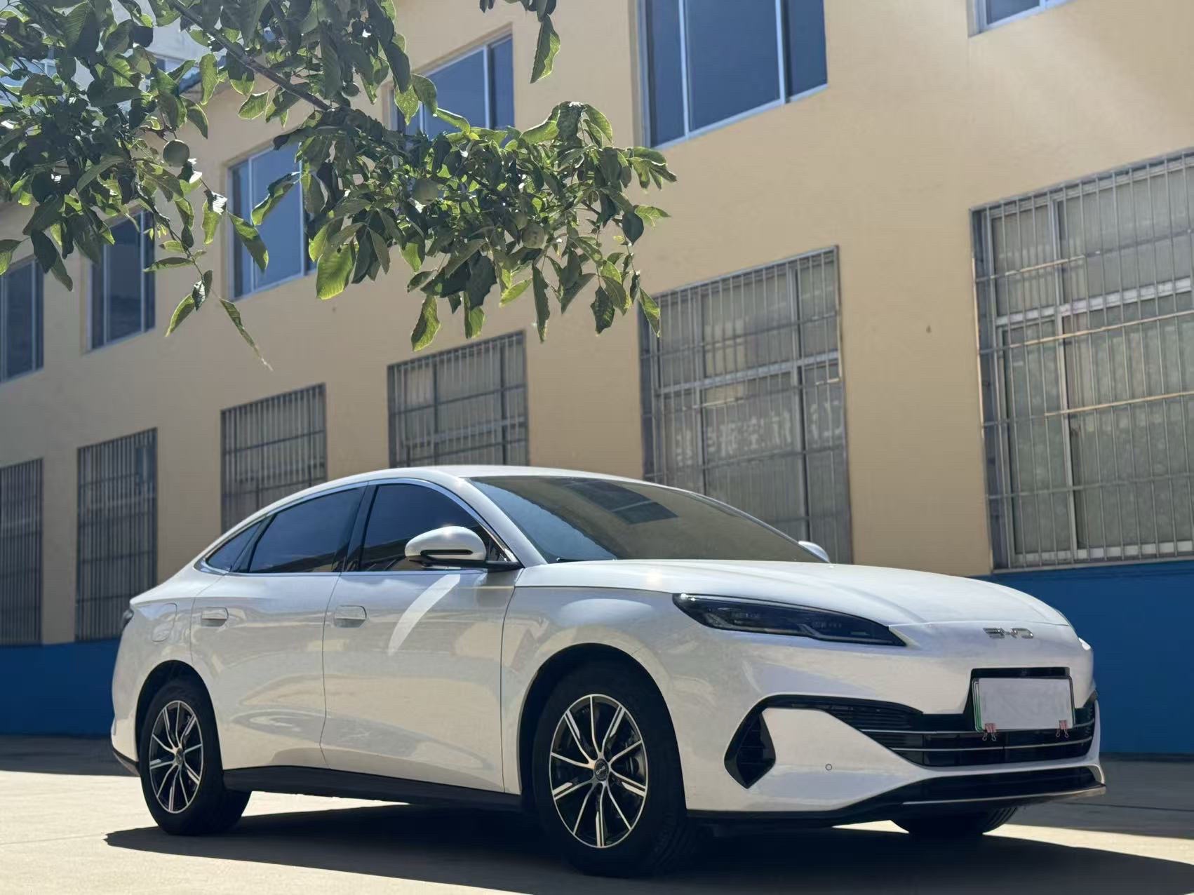 比亚迪 海豹06 2024年DM-i 80KM尊贵型     6个多