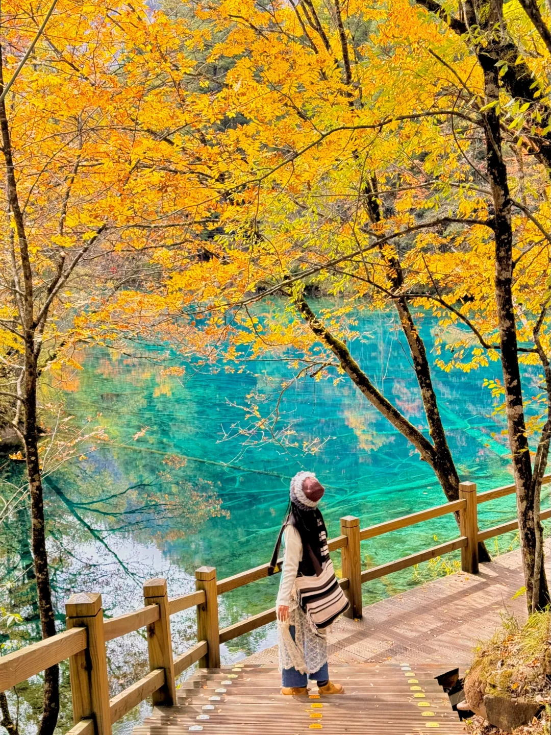 实况live，深秋的九寨沟就没有平替，封神了！