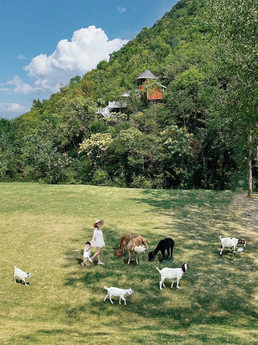 武汉2.5h达湖北小瑞士|跟羊驼小鹿共进晚餐