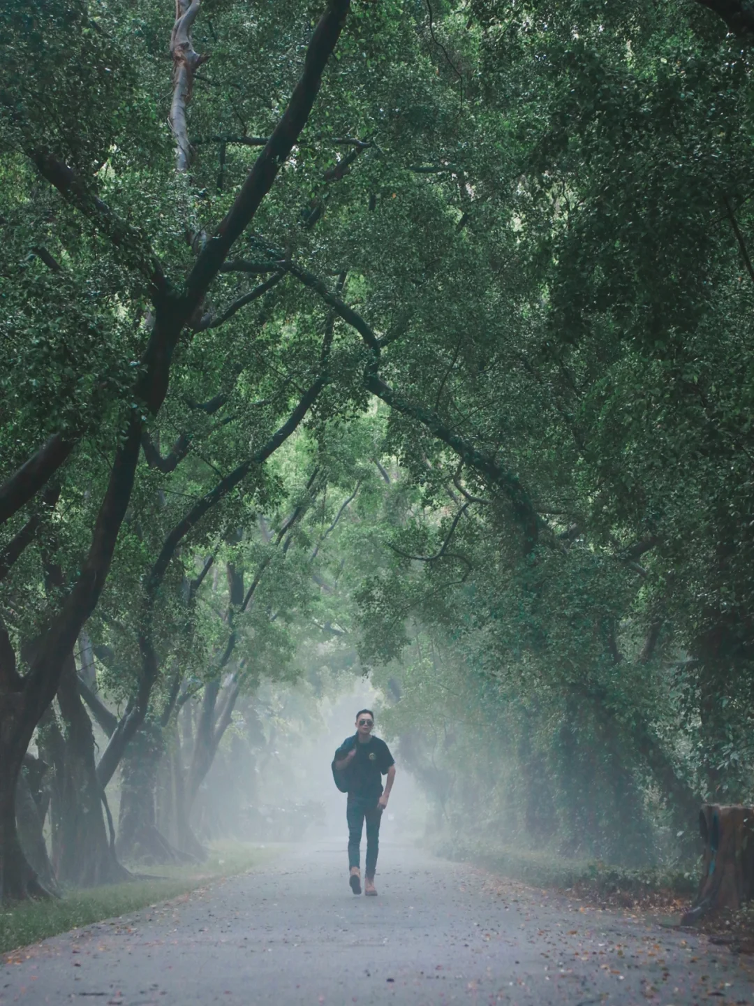 回南天竟然还可以这么美｜广州拍照｜植物园