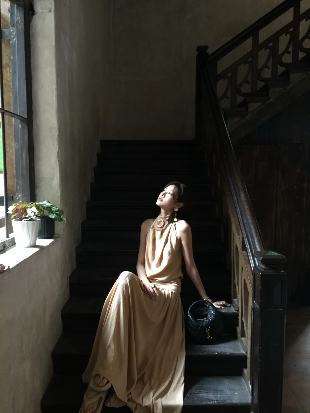 🍮plog |大洋楼的独特魅力