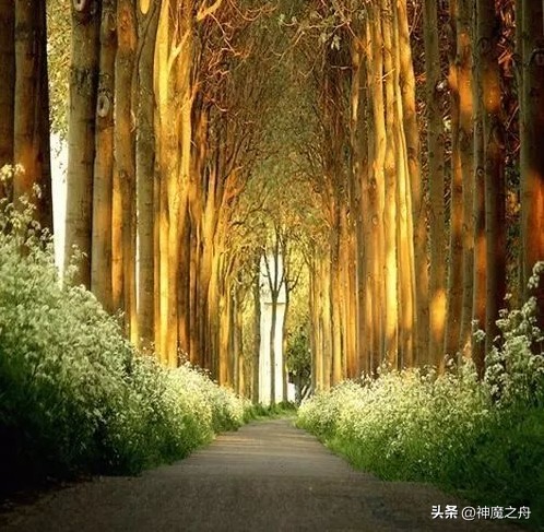 他这一生，好像什么都赶上了，又好像什么都没赶上。他总结了一下，觉得挺幽默，拿老百
