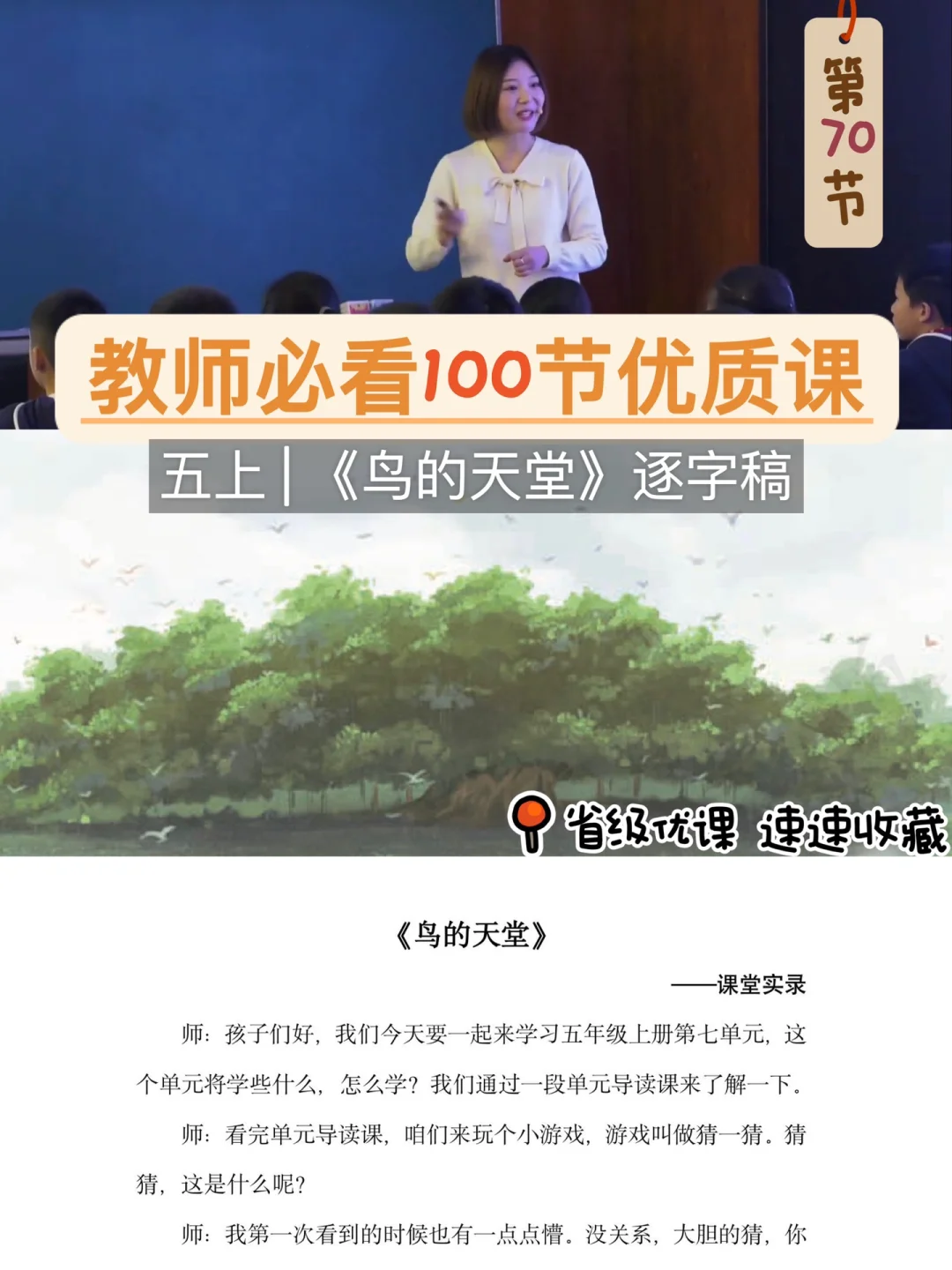 🔥教师必看100节优质课|鸟的天堂|逐字稿