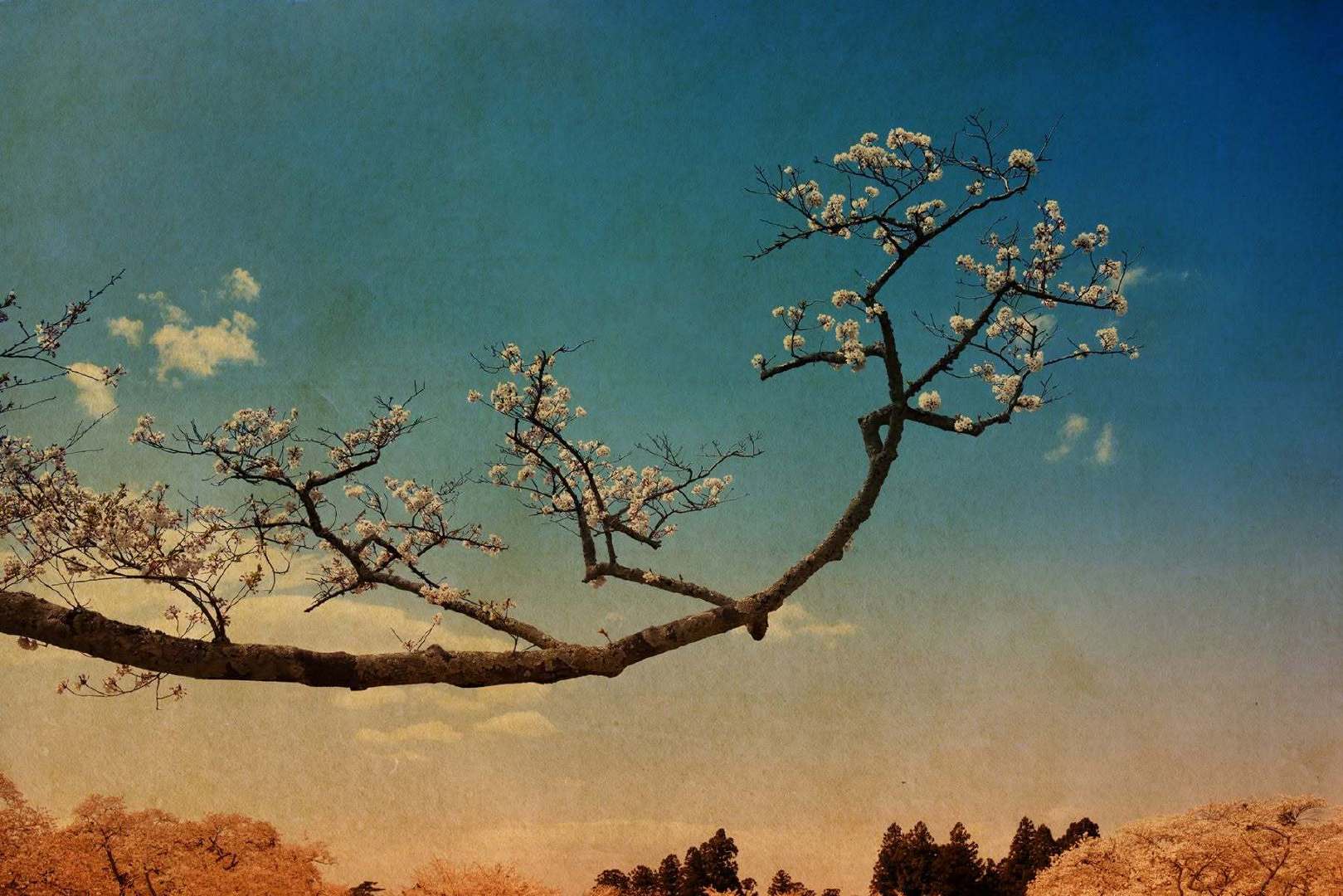 秋 ​