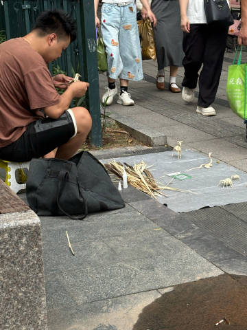 回深圳
