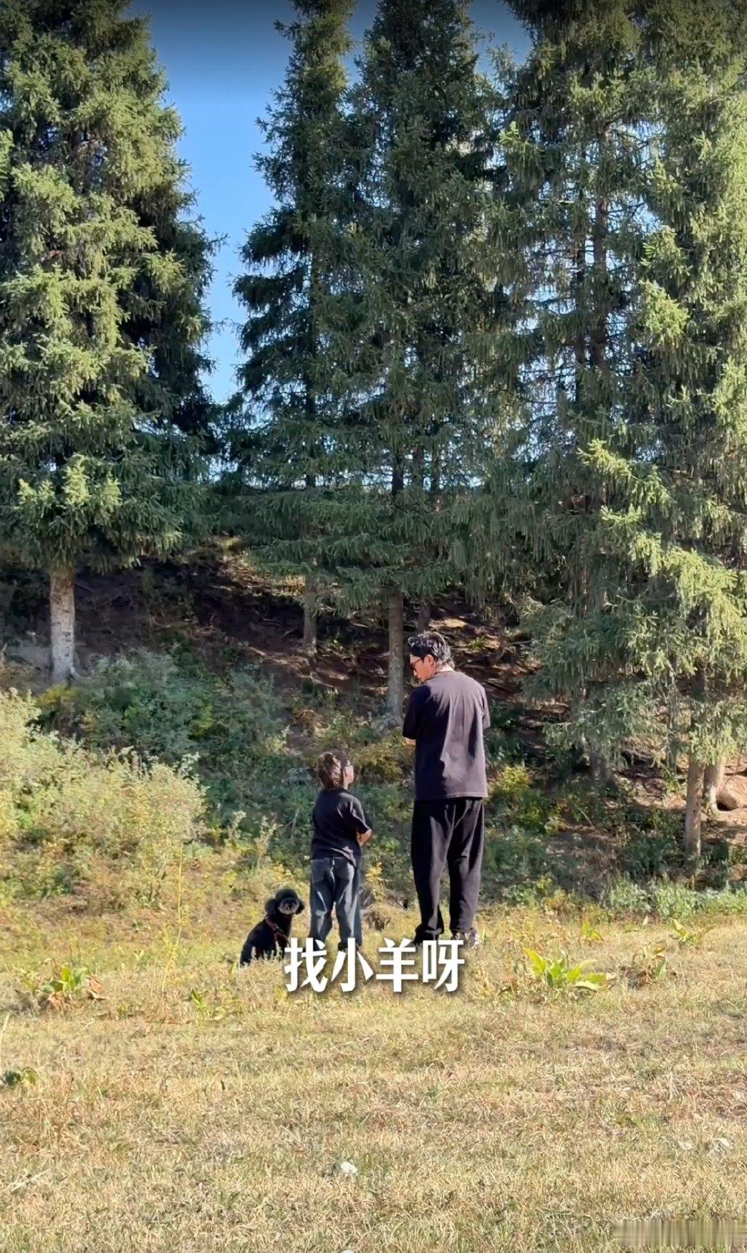 孩子仰着头讲了两个心愿，爸爸没讲“以后再说”，租了车直奔新疆。腾势 N8L 大六座真能装，娃、小狗、玩偶、小羊，全塞进去刚好。算不上多夸张，就是当爸的甘愿陪孩子疯一把。满车厢的笑闹声，大概就是童年最特别的纪念章。 ​