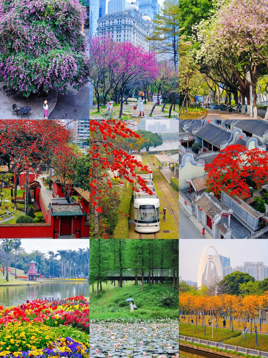 立春啦！接下来便是满城鲜花的广州春天