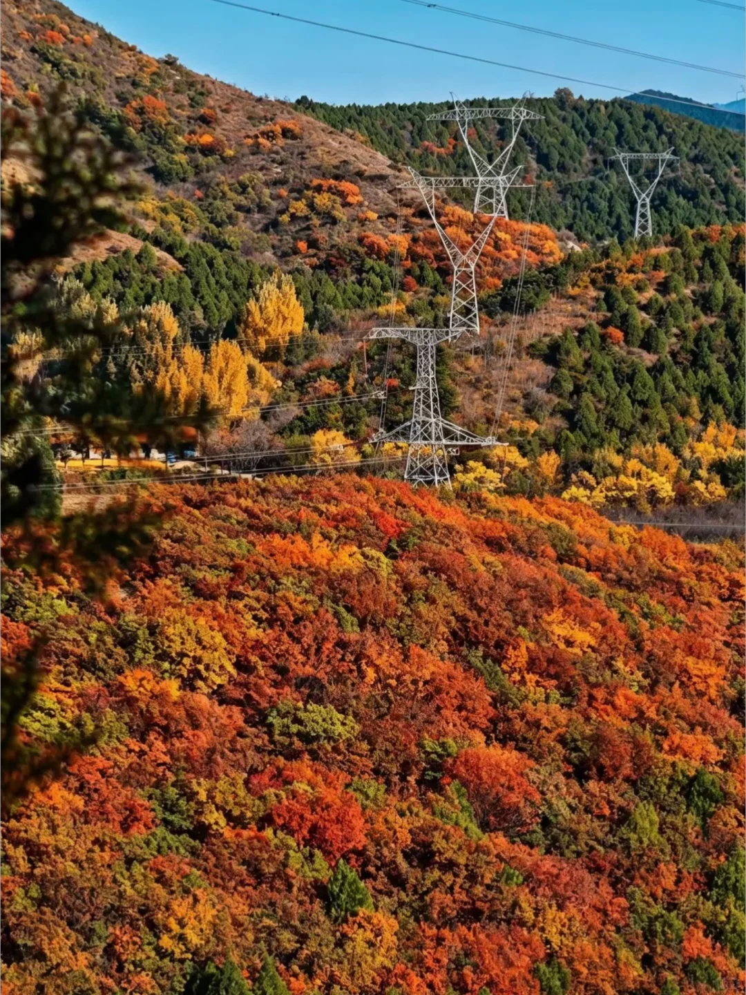 在舞彩浅山，拍到了我的"人生照片"
