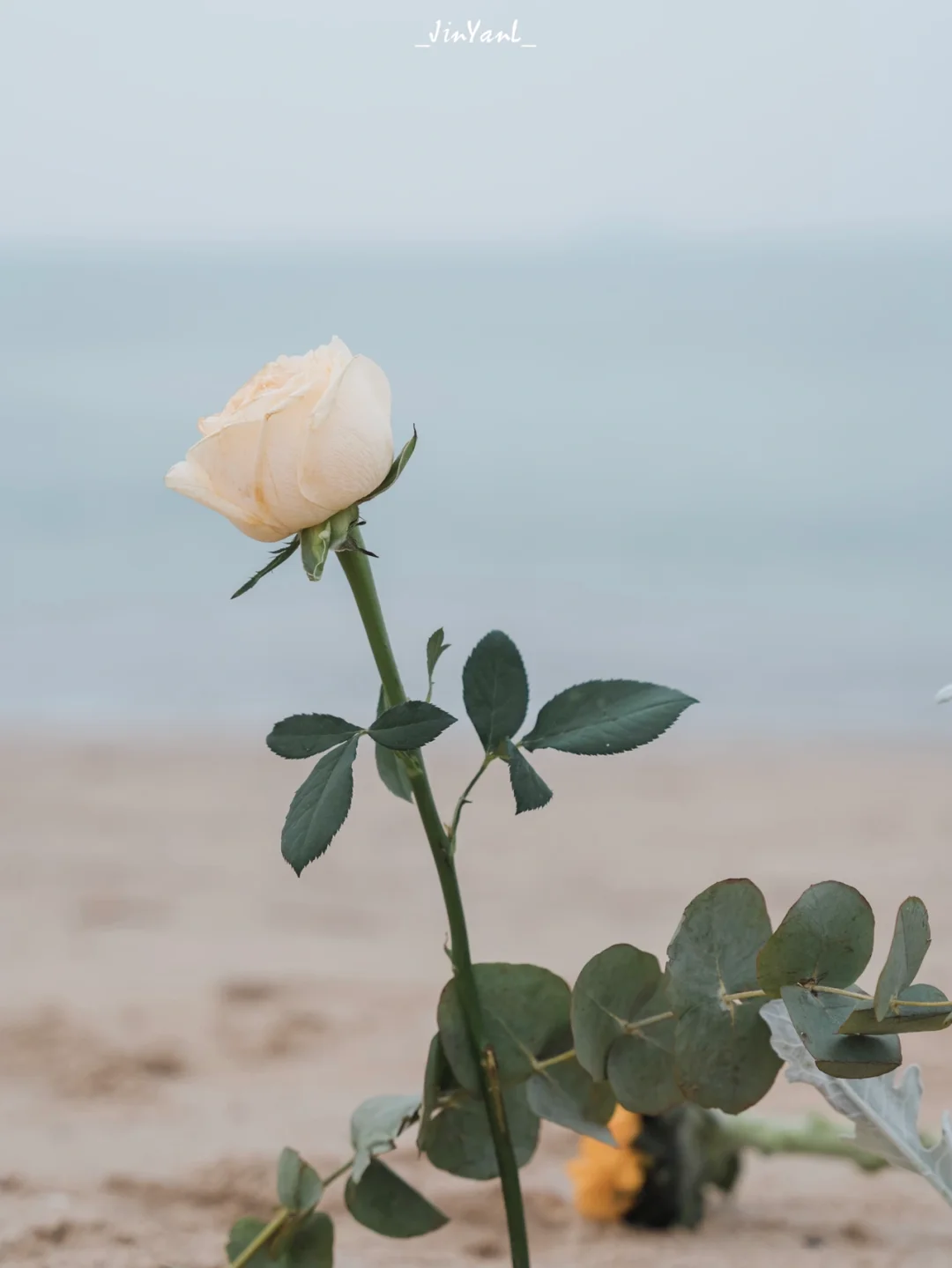 阴天大海怎么拍⁉️海上生花情绪大片秒get‼️