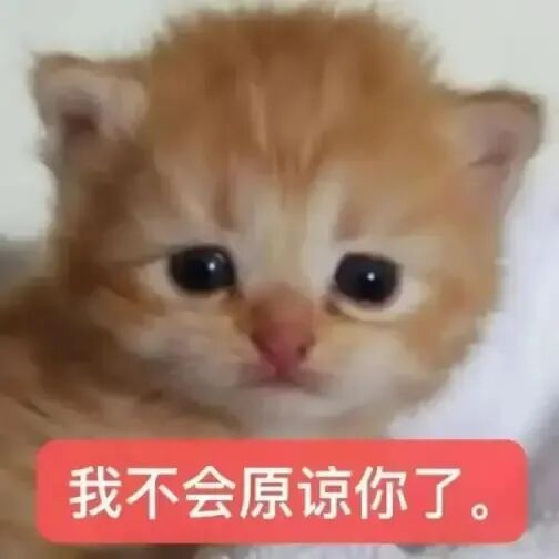 萌萌哒小猫咪表情包