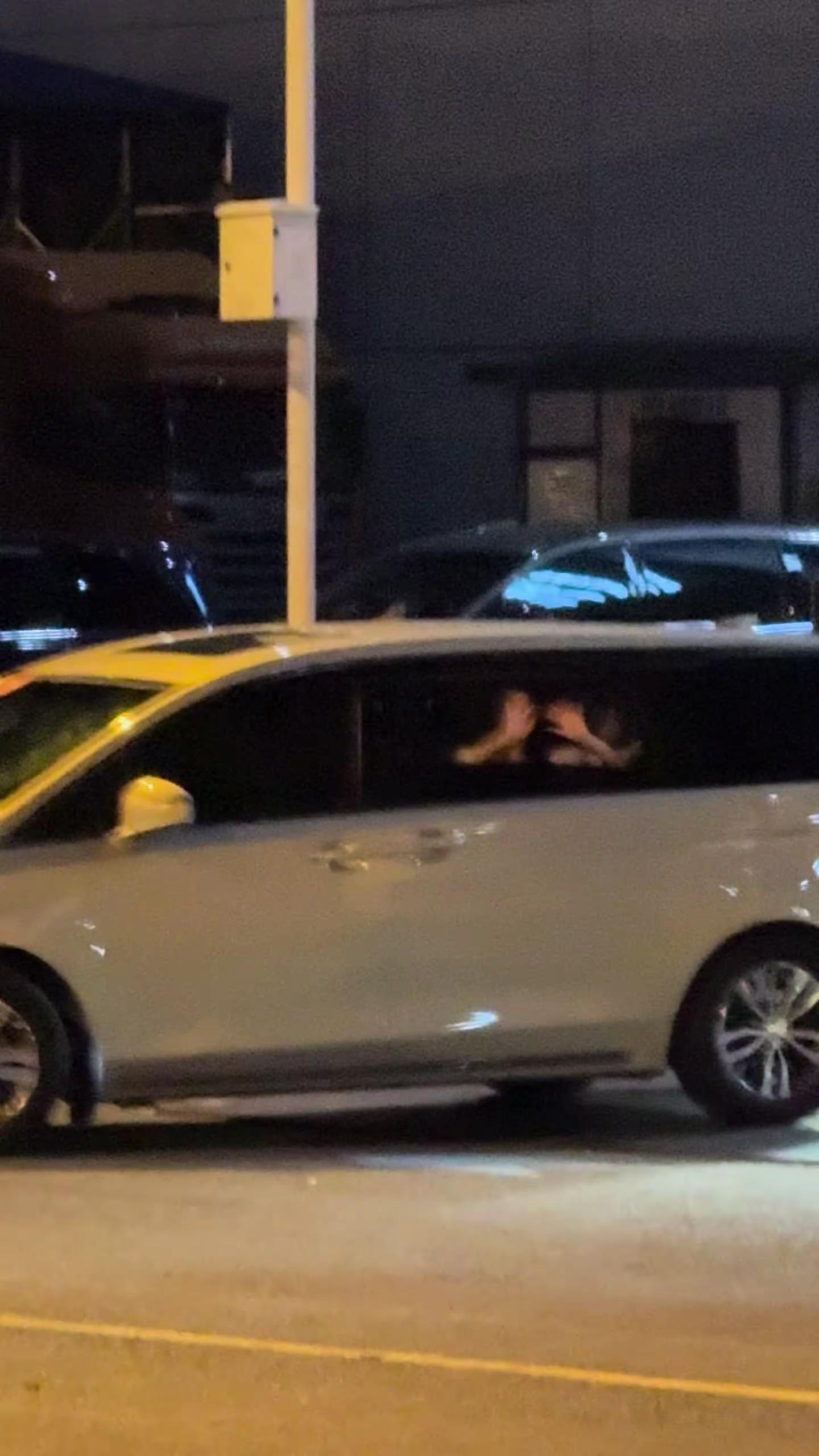 再见太难 所以一直在见🤲 无法分手的女人 傻猪猪的日常 闺蜜的迷惑行为 线下