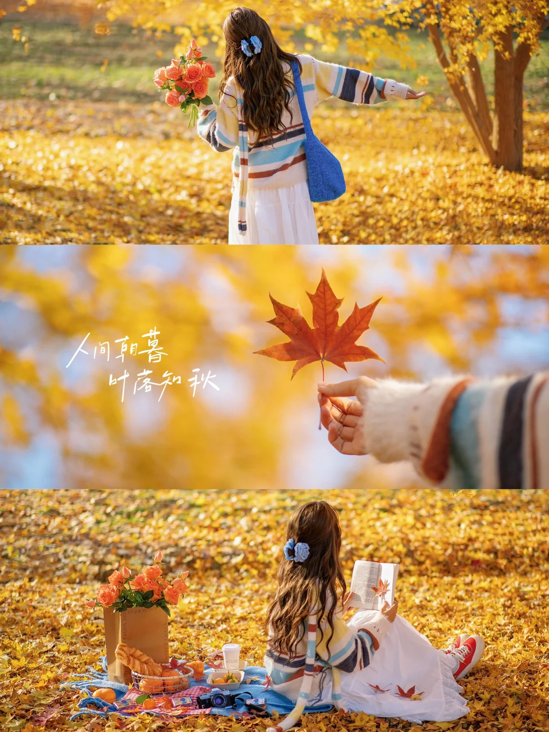 秋天公园落叶电影感拍照|逆光通透调色教程