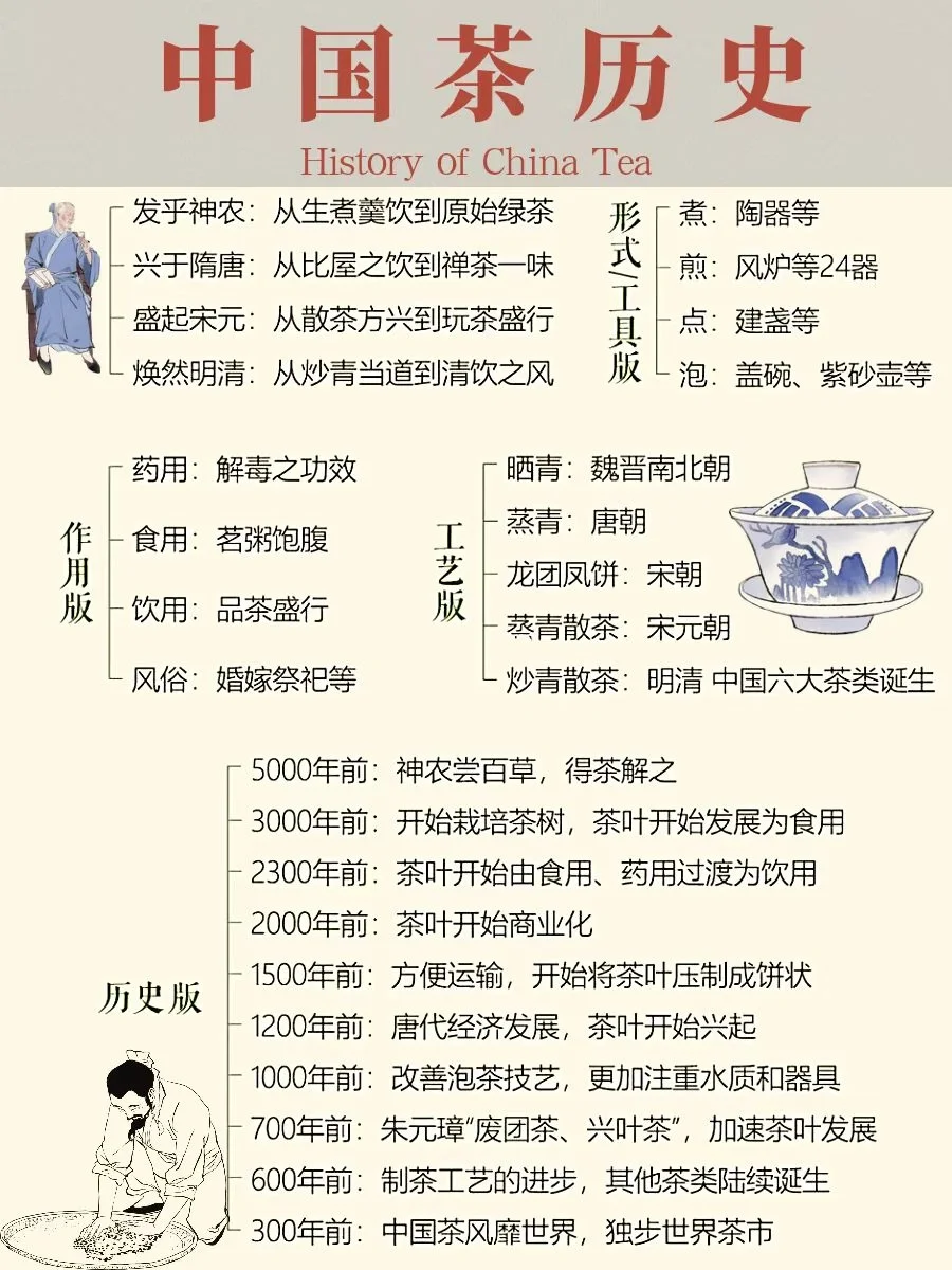一分钟秒懂中国茶历史📚|入门指南&茶历史