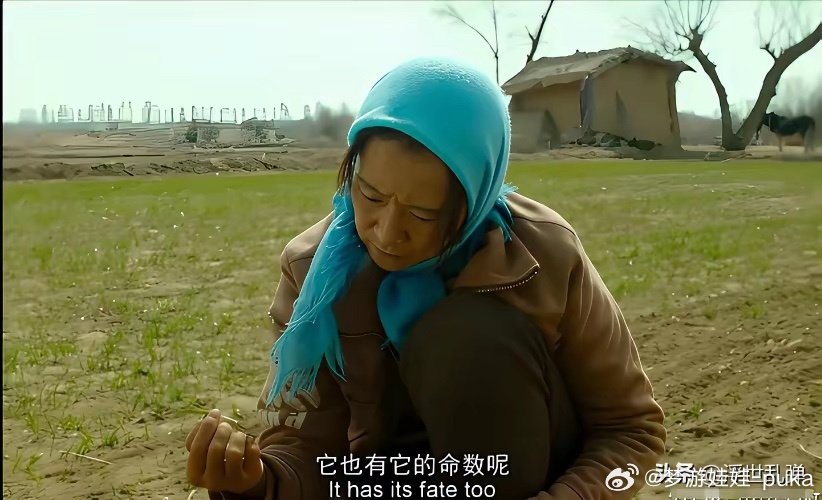 海清大概是内娱这些年最不走运的女演员了吧。
好不容易放下身段，自愿扮丑，几乎卑微到尘埃里，而且奉献出了她自己演艺生涯在大银幕上最好的表演，原本有机会拿奖的，奈何时运不济，因为题材争议被提前下映 ​