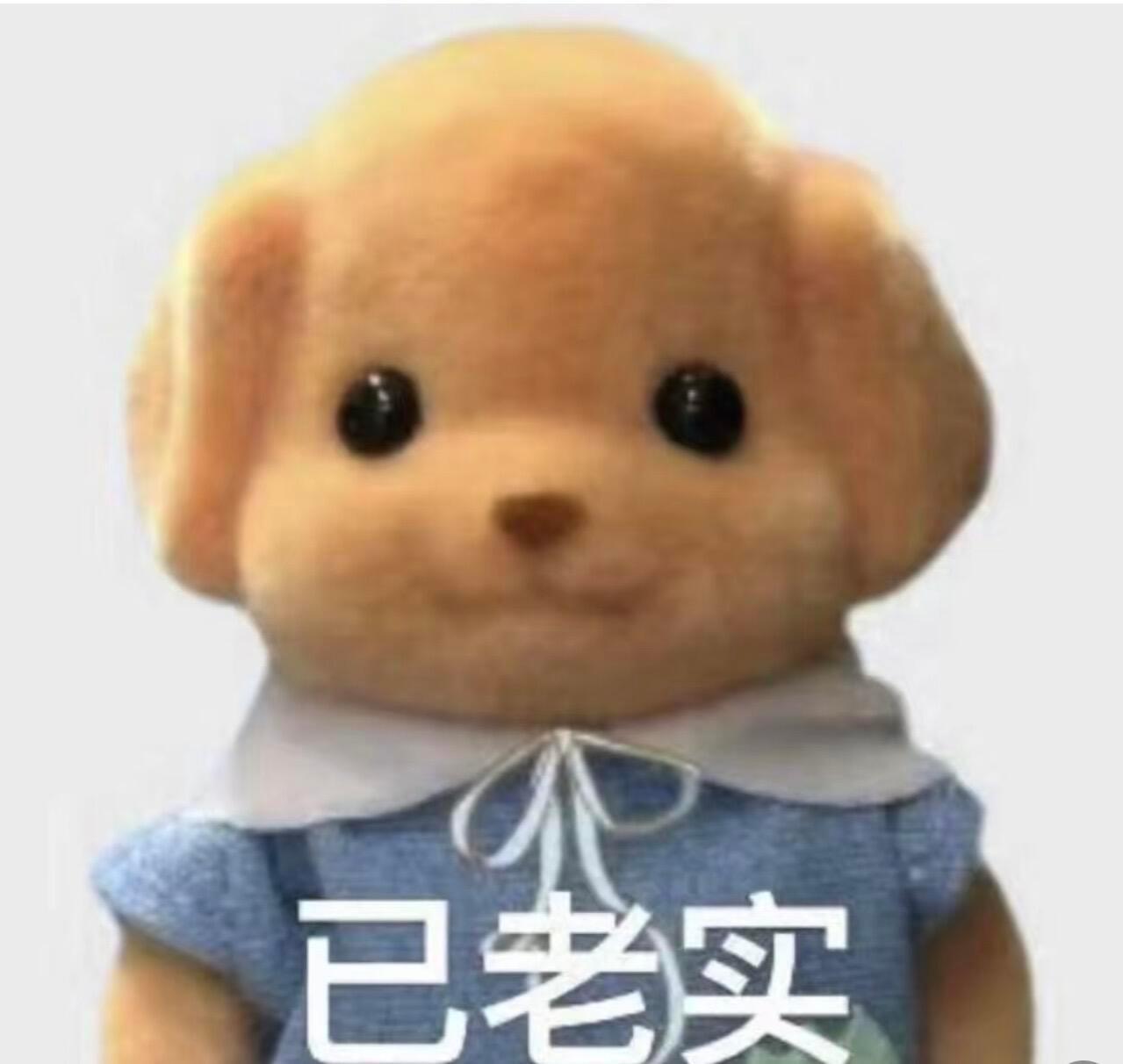 表情包来咯