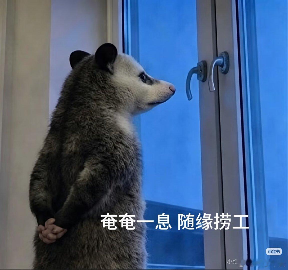 字节、拼多多、美团、京东…你们这些互联网大厂是要挨着吊我一遍吗？！？！？我只是一个线下实体运营的卑微打工人罢了[无聊][无聊][无聊] ​