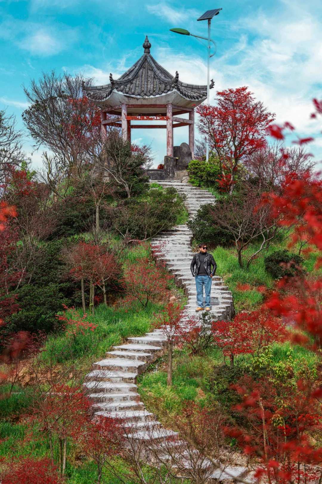 🍁重庆巴南五州园红枫红了🌈❤️