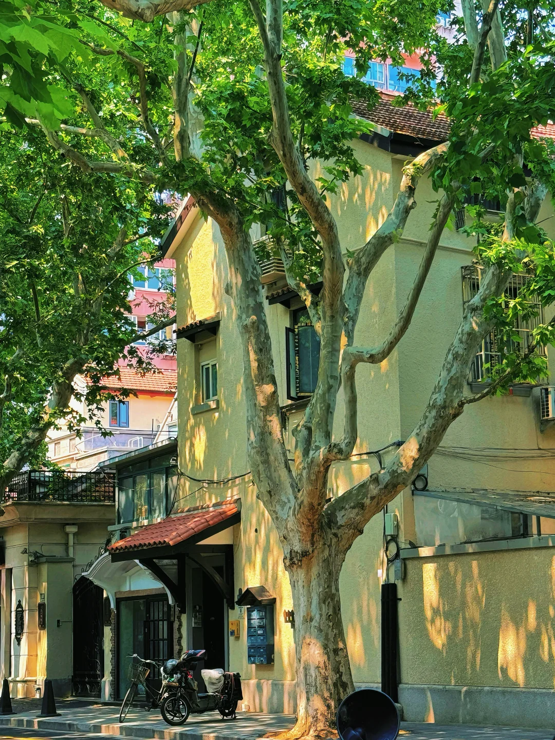 十一假期 | 去完上海这⑥个不花钱地儿再离开