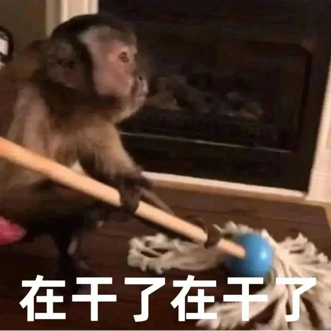 表情包来啦