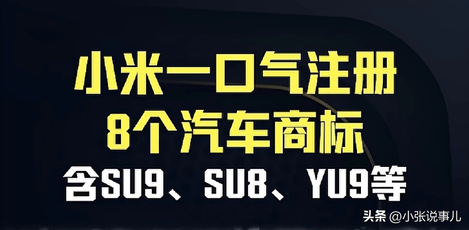 小米一口气注册了8个汽车商标

商标肯定要提前注册，不然可能会被抢注的，比如oppo的R系列手机，后面的数字被深圳一家公司抢注，断掉了，被迫改成Reno系列