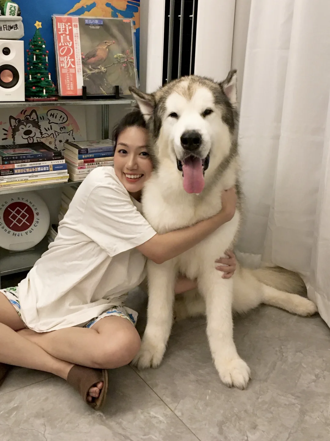 非常崇拜庄庄树所以饲养了！🍼