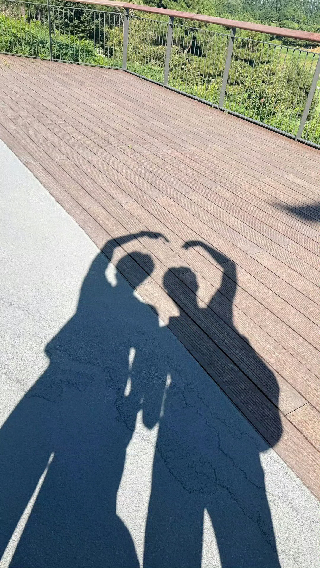 这俩这种雷霆比心打卡的行为特别像中年夫妻相濡以沫二十年为了赶年轻人时髦潮流而笨拙认真的操作 ​