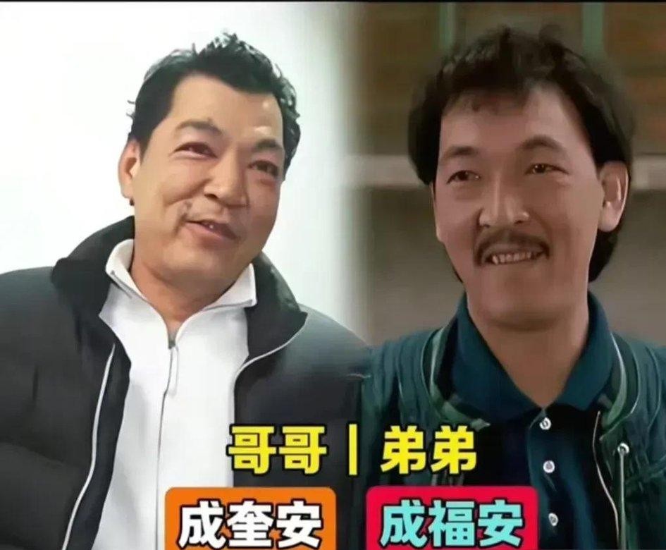 谁能想到，许冠文刚靠一部《破·地狱》狂揽过亿票房杀回巅峰，转头却把亲弟弟筹备已久的大动作给按下了暂停键。
原本许冠杰打算把兄弟俩合体的大秀搬进全新的启德场馆。
结果实地一打听，从地铁口出来要顶着风走上近二十分钟。
两个加起来都快一百六十岁的老哥俩一琢磨，来看演出的老歌迷哪个不是白发苍苍？让人家