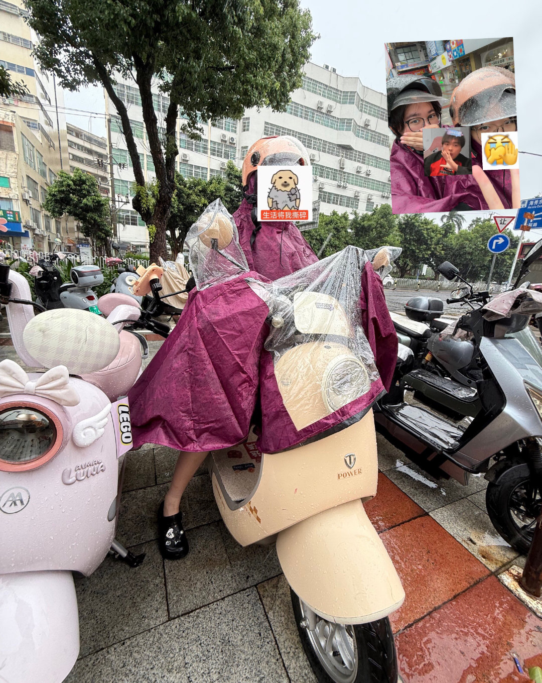 雨水打湿小雅迪  发誓要坐大奥迪！ ​