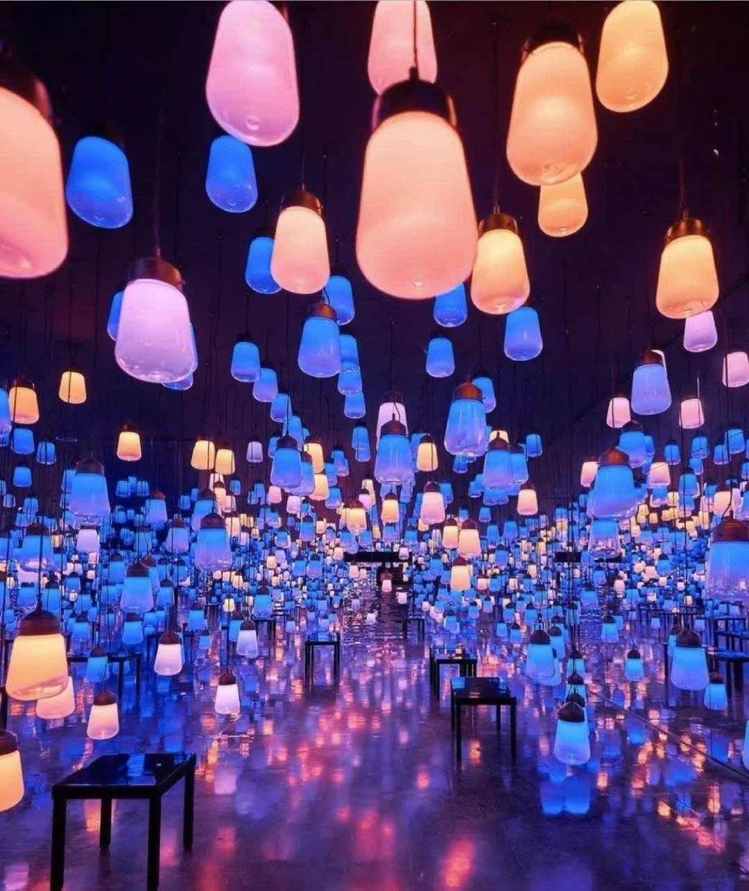 日本佐贺县|花与灯 此起彼伏的惊艳日本小众