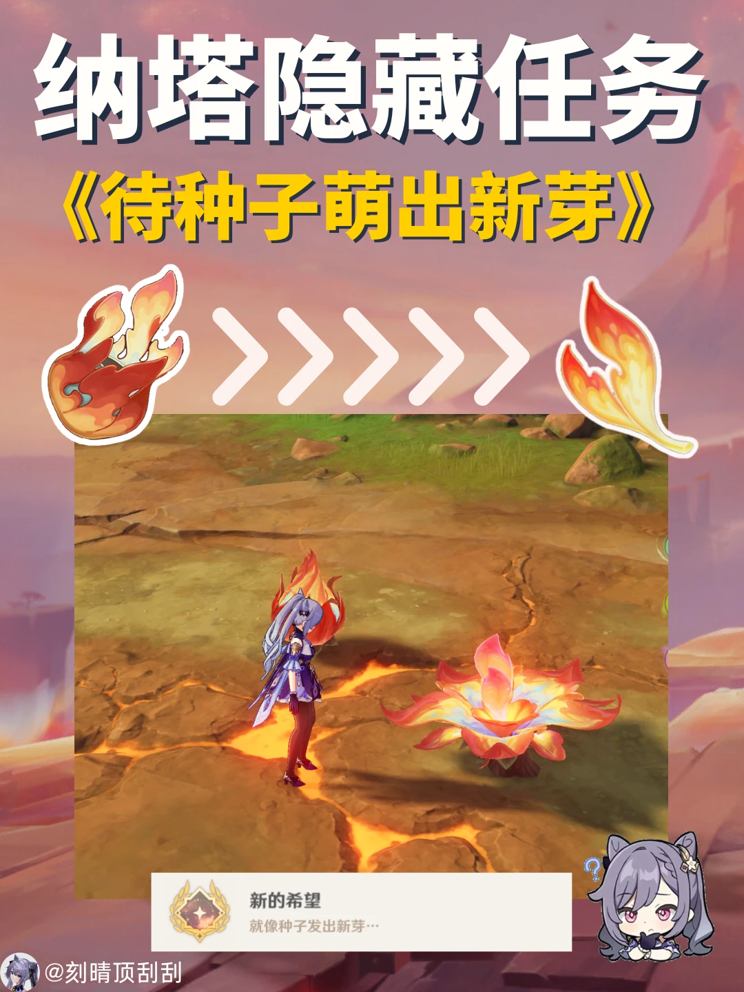 纳塔现实两天完成的种花成就-新的希望