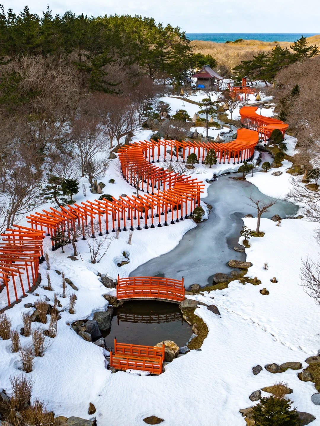 网红神社到底值不值？去了3次的真实感受