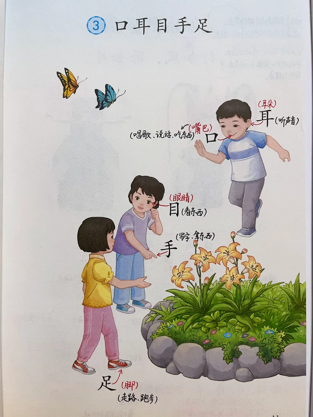 一年级上册语文｜《口耳目手足》课堂笔记