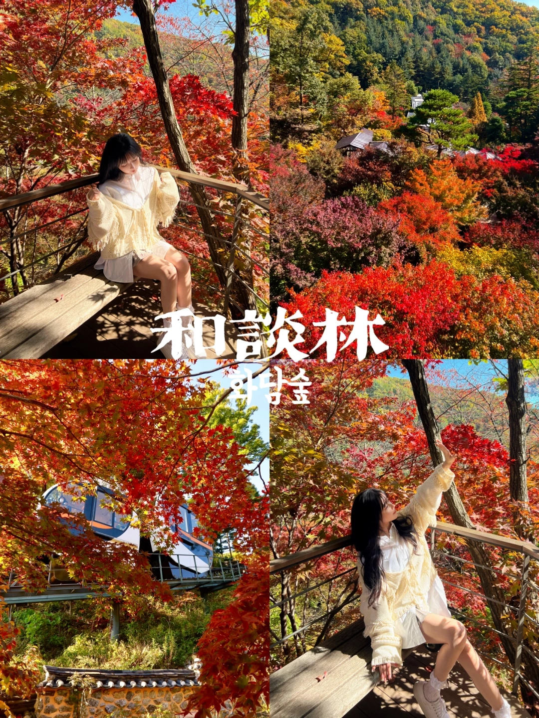 首尔｜抓住秋天尾巴赏第一人气枫叶林—和谈林