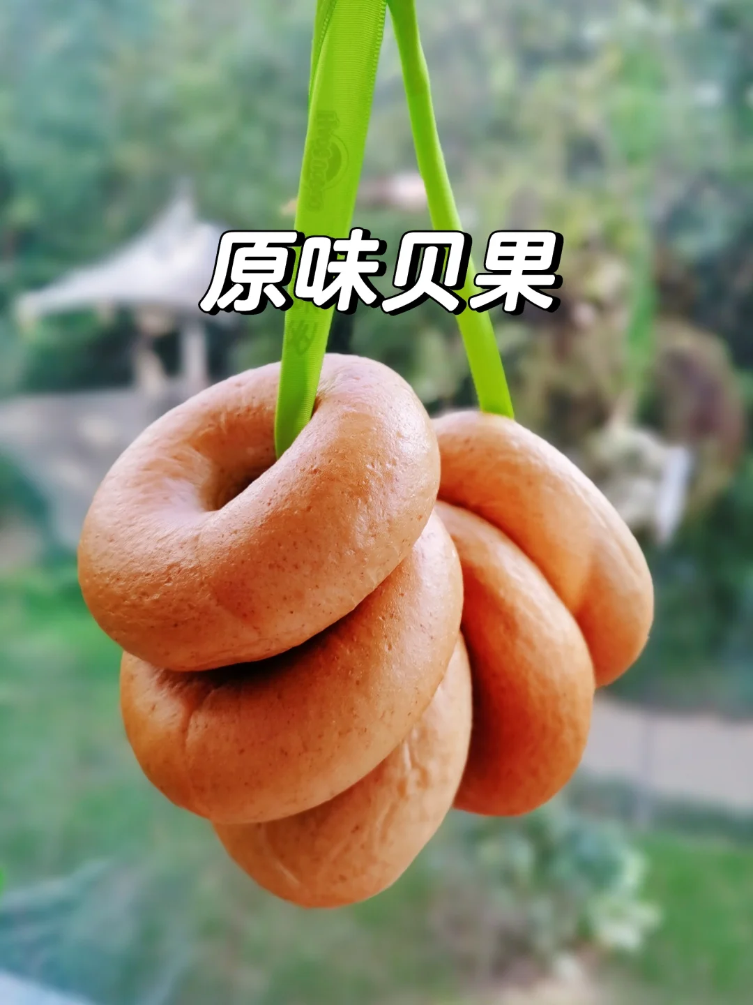 原味贝果，面包机帮忙快速做，2个小时