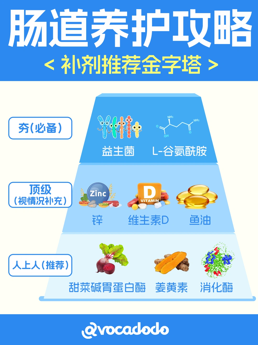 养护肠道&修复肠漏补剂金字塔-夯必吃