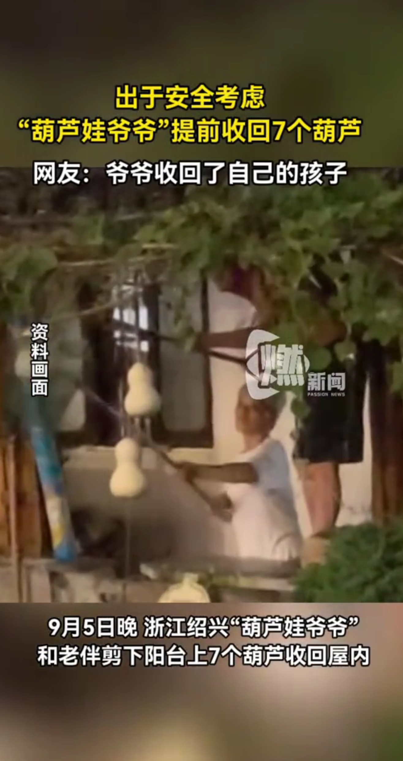 “葫芦娃遗憾提前下岗”——明年再见！
      绍兴“葫芦娃爷爷”陈金敖提前剪下葫芦的消息，近日引发全网热议。原本老人只是在自家临河阳台种葫芦装点小院，7只青葫芦意外复刻动画场景，迅速带火书圣故里打卡热潮。
      走红后，大量游客专程赶来，高峰时段每5分钟就有人隔着河呼喊老人，老人每天要出门