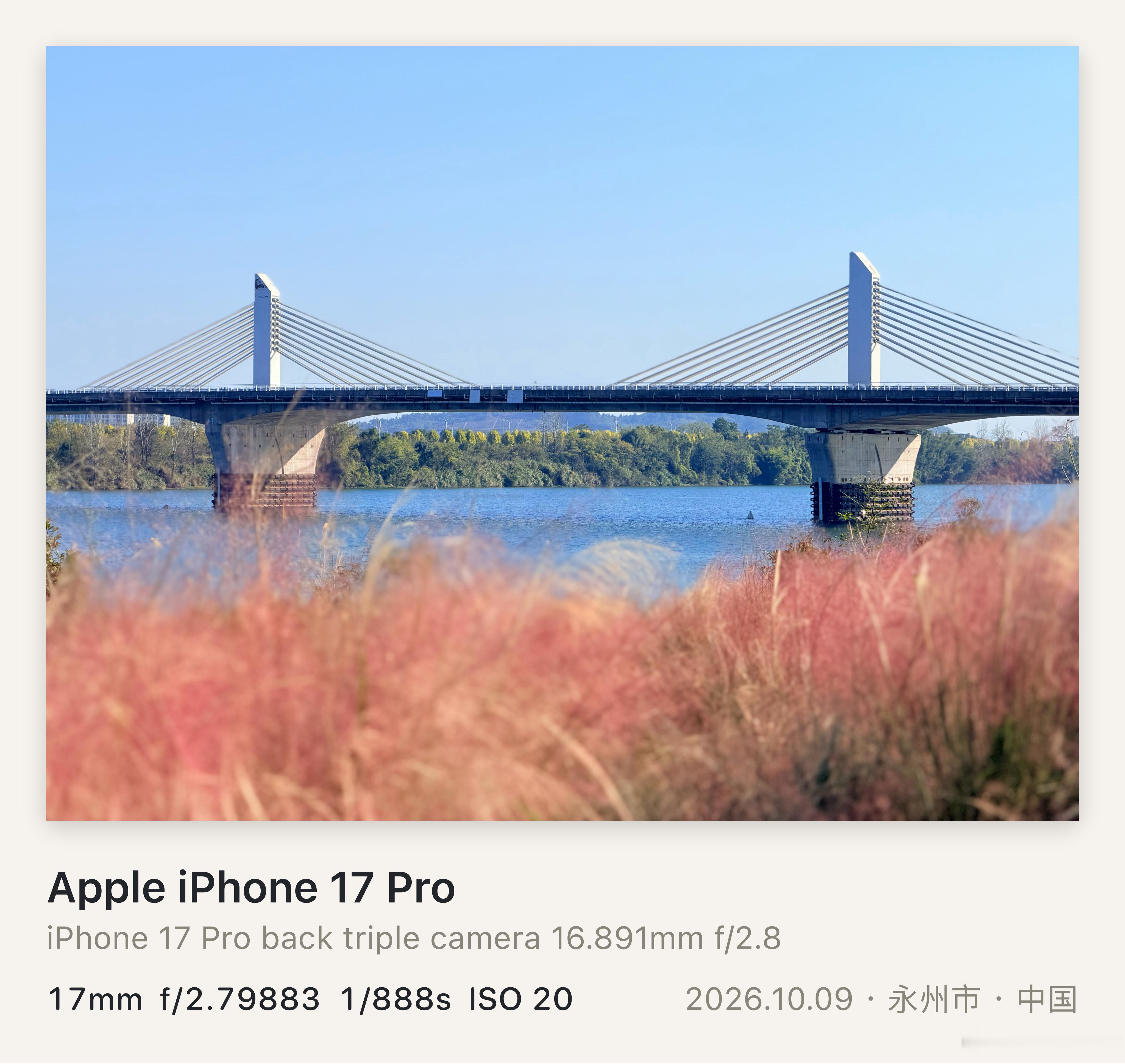 iPhone摄影
#摄影##手机摄影﻿##手机摄影##iphone[超话]# ​