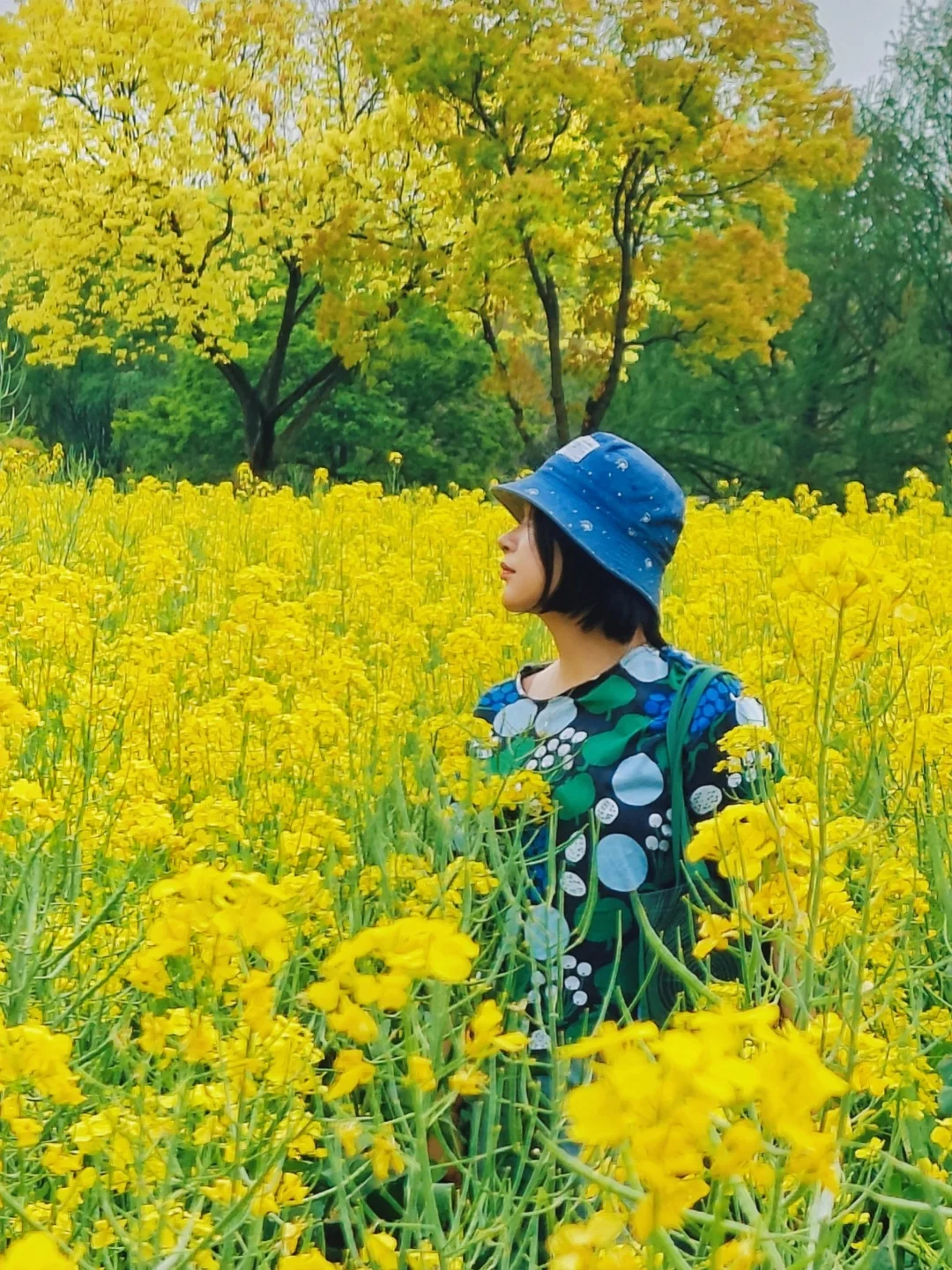 足不出户，踏入金色海洋