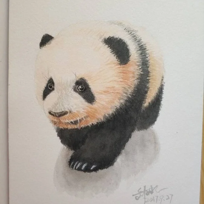 水彩大熊猫，可爱的小滚滚。它的名字好像是“芝麻”