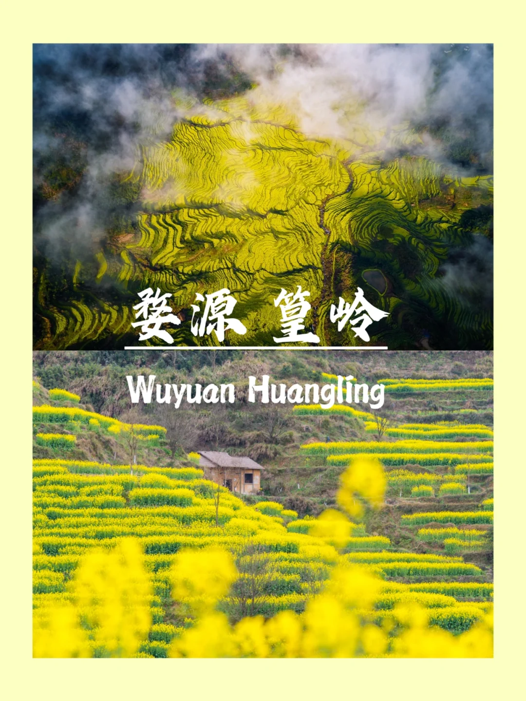 我预言 | 婺源篁岭的这片花海将刷爆朋友圈