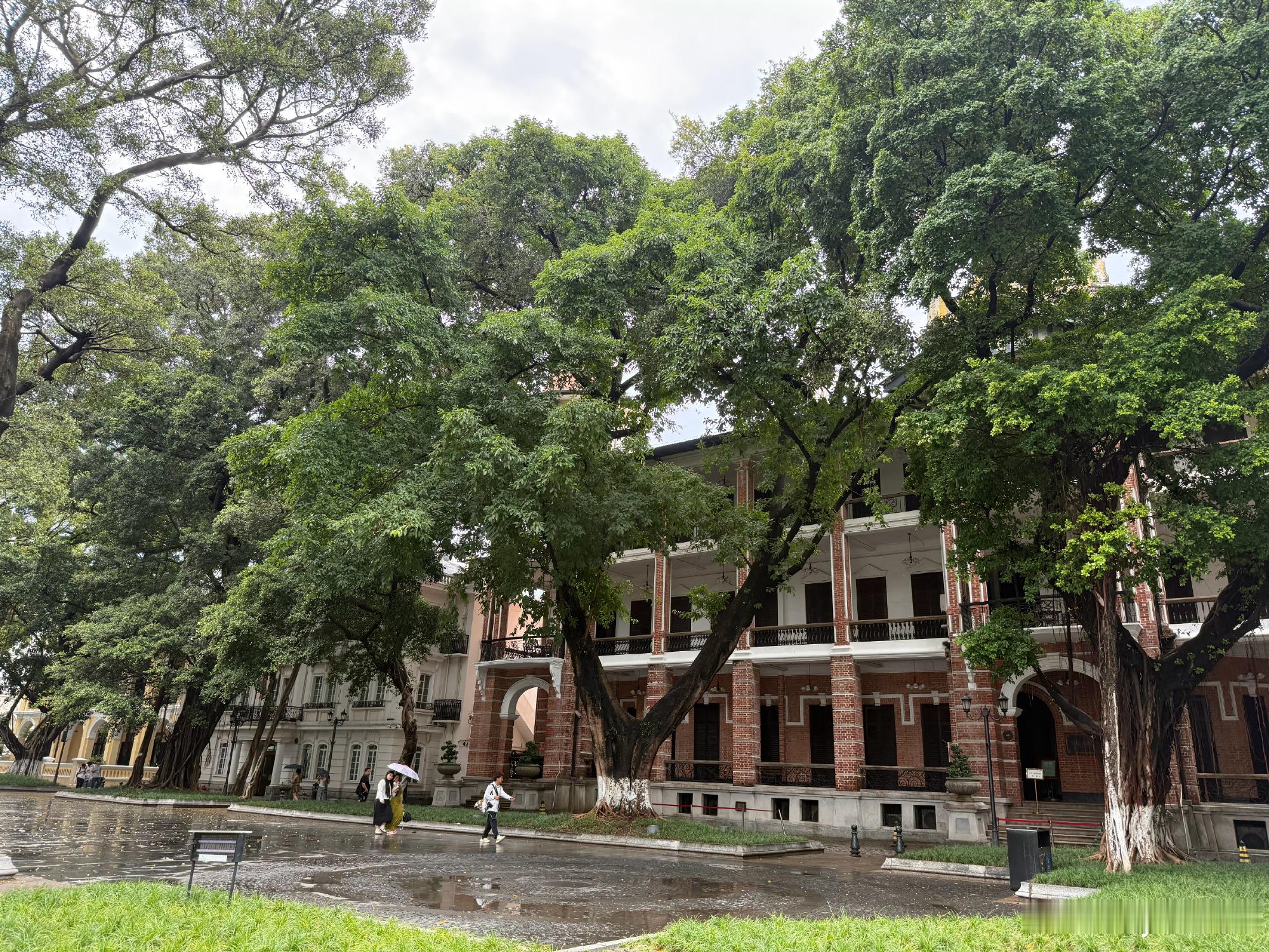 📍 广州·沙面 漫步在欧陆风情的建筑群中 🏛️，斑驳的树影与老洋房...