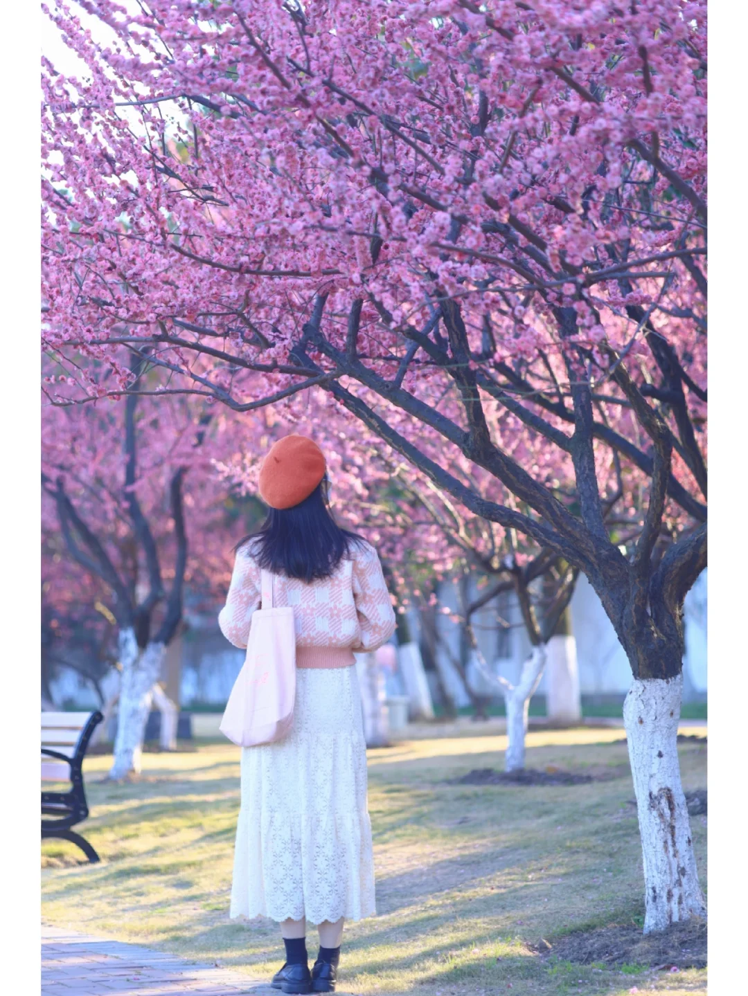 后悔没早发现武汉这个赏花地❗️有被惊艳到