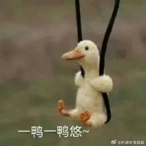 芝士焗废话话话