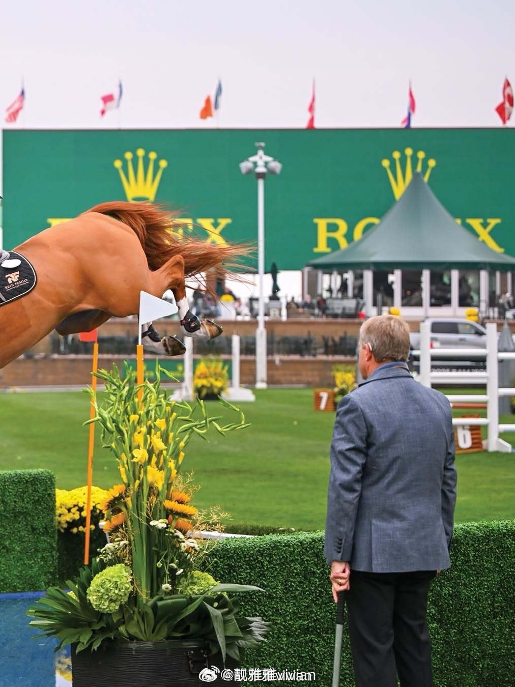 11年前的云杉草地（Spruce Meadows)，秋雨让赛场变得格外...
