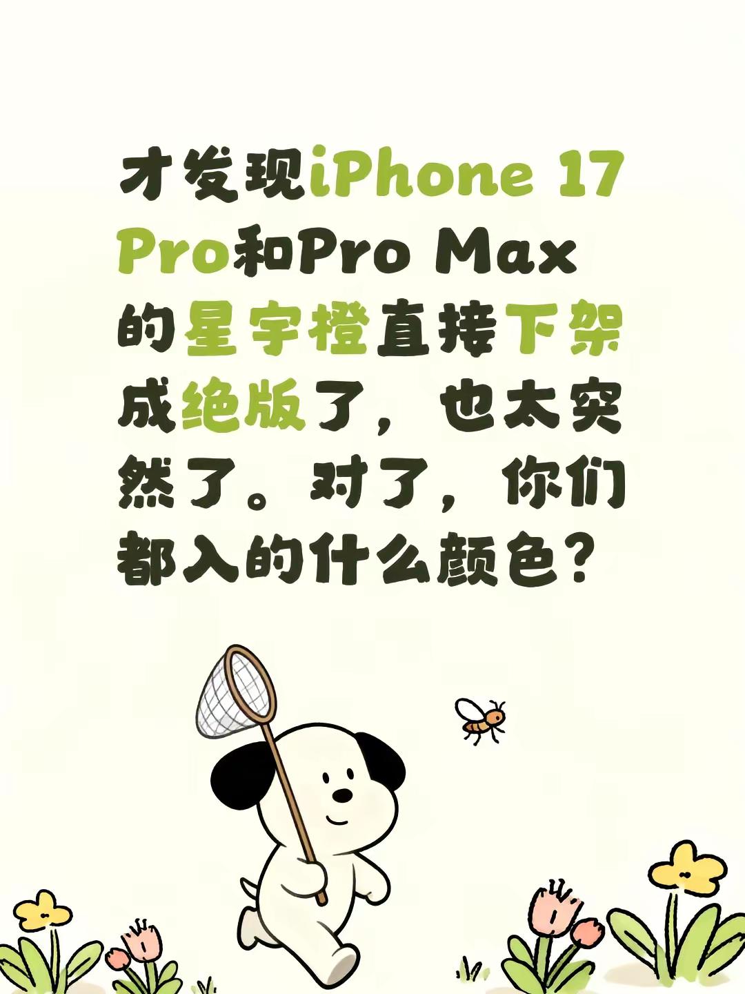 才发现iPhone 17 Pro和Pro Max的星宇橙直接下架成绝版了，也太突然了。对了，你们都入的什么颜色？iphone颜色 苹果pro系列