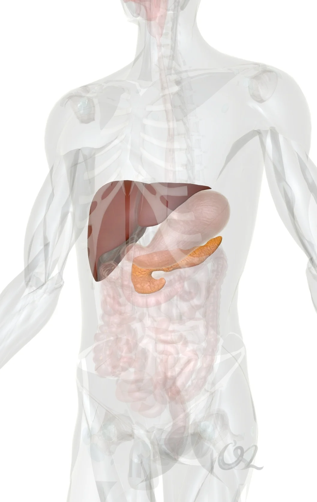 眼睛上部的头痛，在中医体系中，可能是肝胆经络除了问题。现代医学中确认，肝脏和胆囊