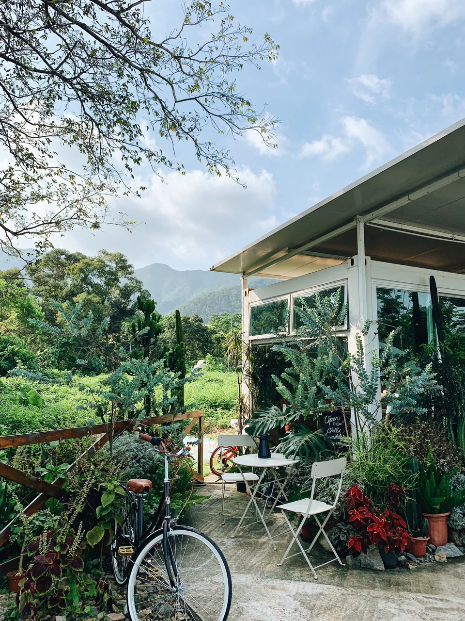 香港探店🇭🇰|隐世疗愈系多肉植物咖啡店🌵