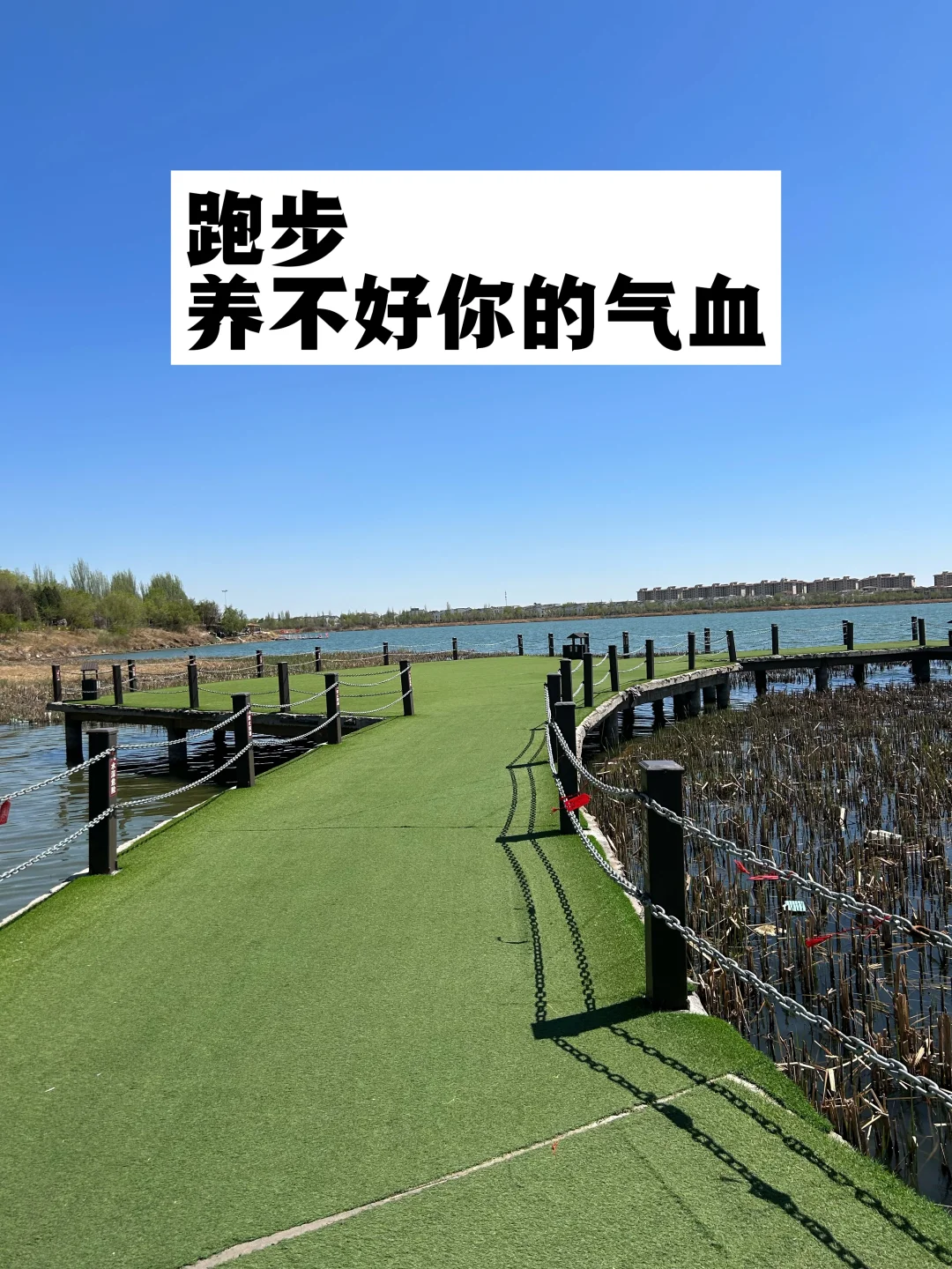 跑步撸铁，养不好你的气血.