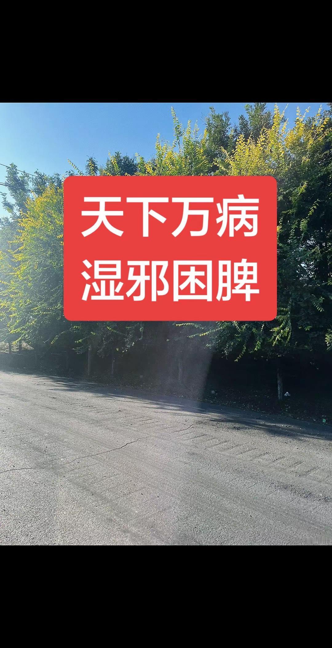 马刺继续打磨年轻阵容，文班亚马休赛期特训。